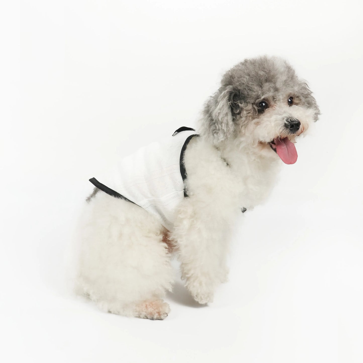 French-Style Bowtie Top