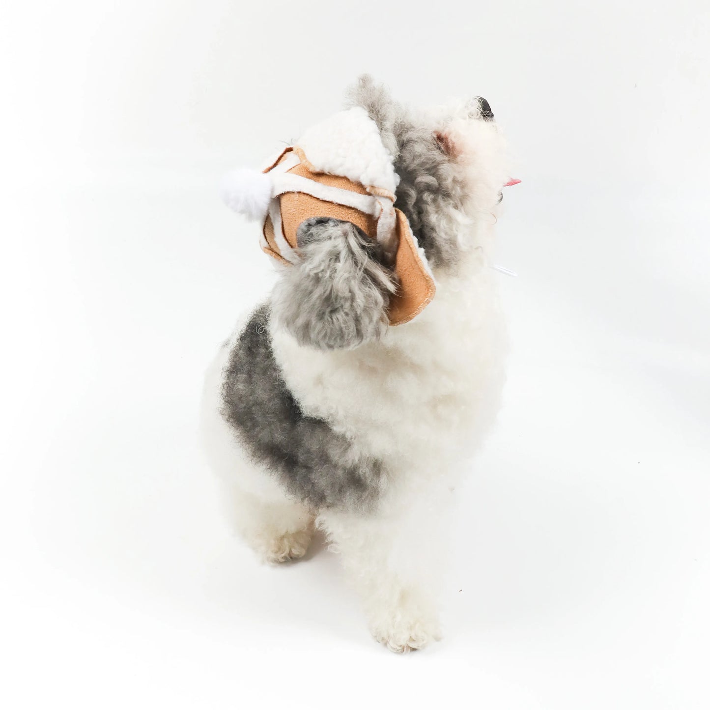 Cutie Bomber Hat Aviator Pet Hat with Pom-Pom