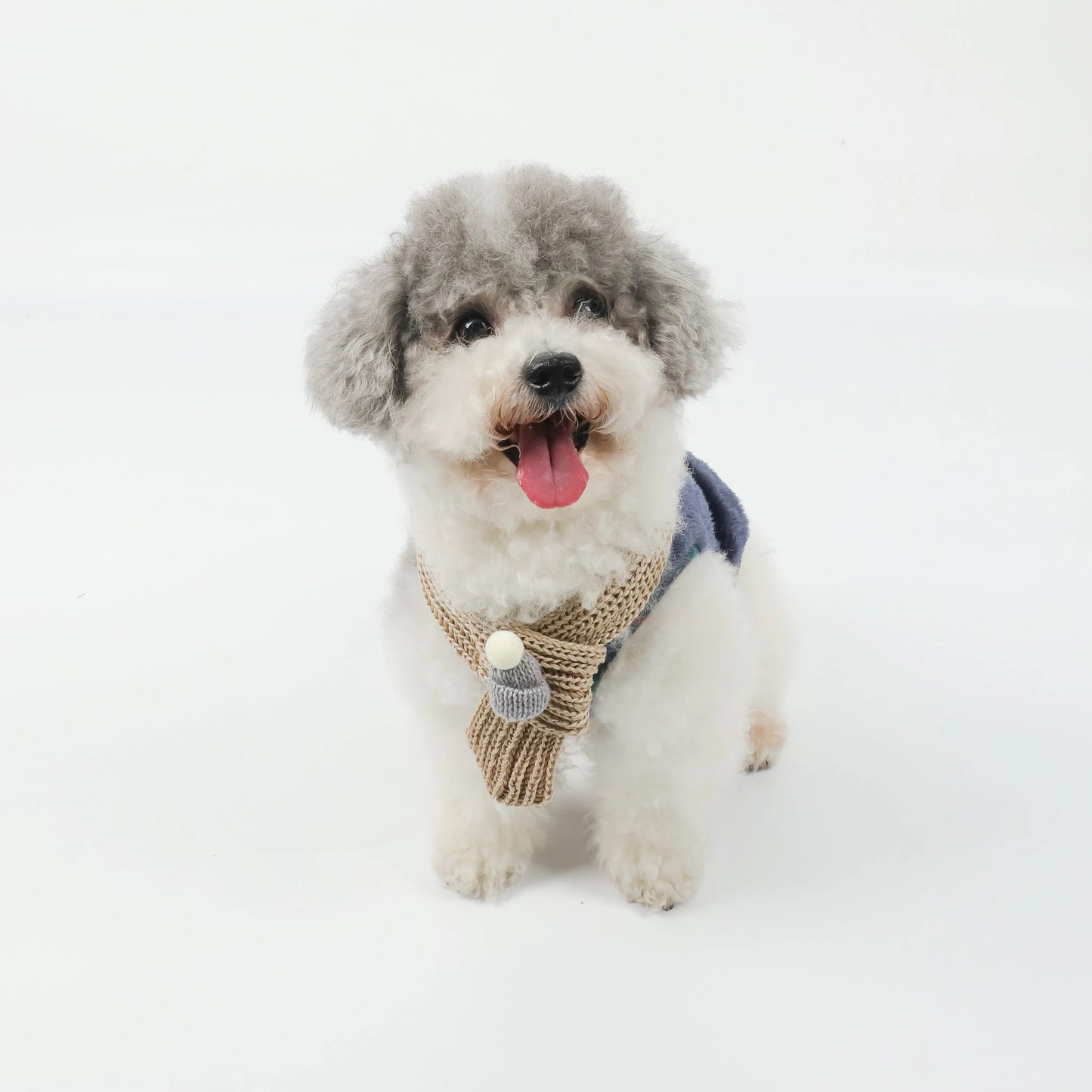 Plaid Winter Pet Coat with Knitted Scarf