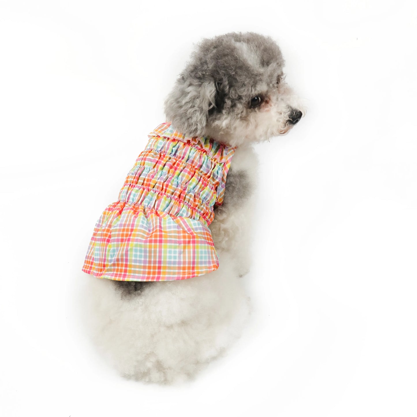 Rainbow Ruffle Dress