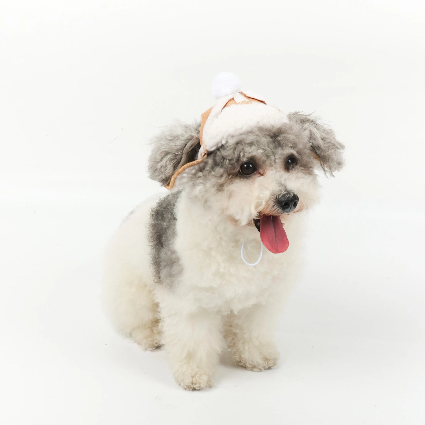 Cutie Bomber Hat Aviator Pet Hat with Pom-Pom