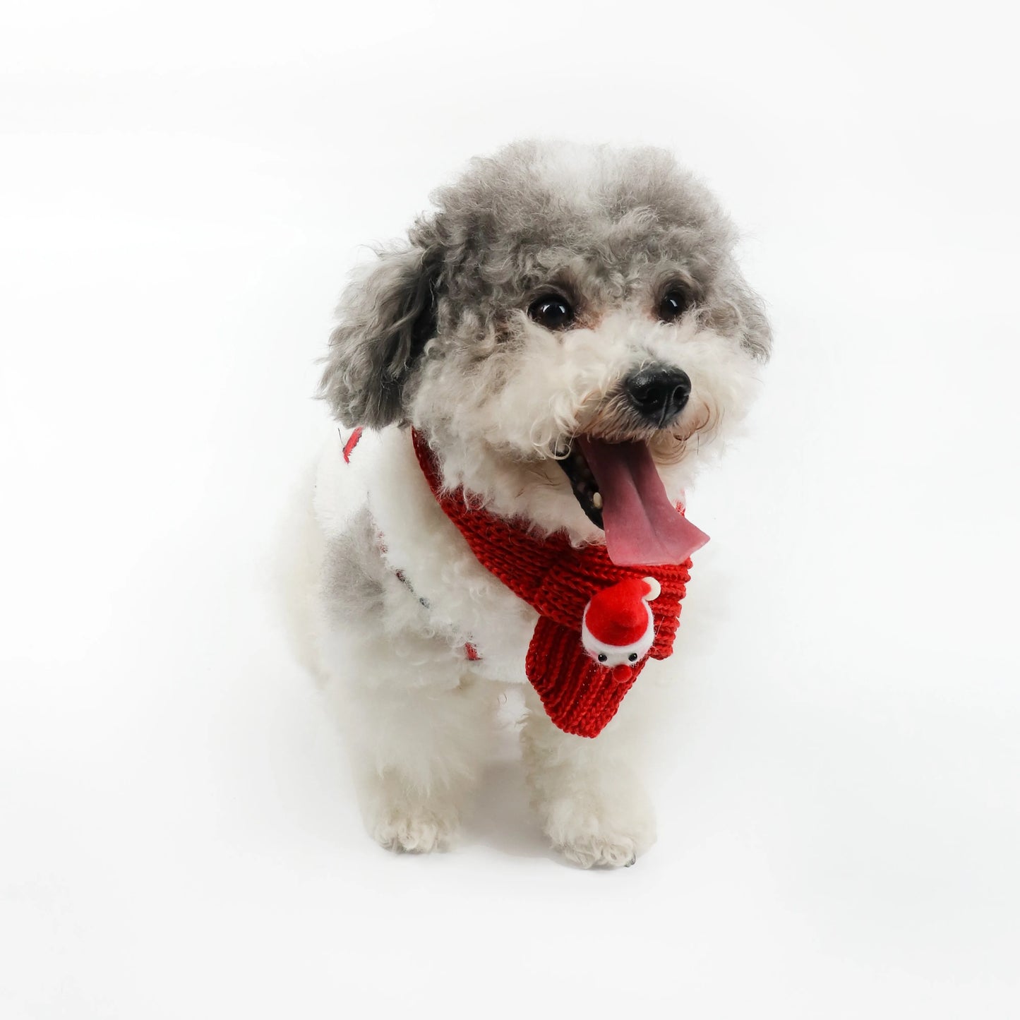 Plaid Winter Pet Coat with Knitted Scarf