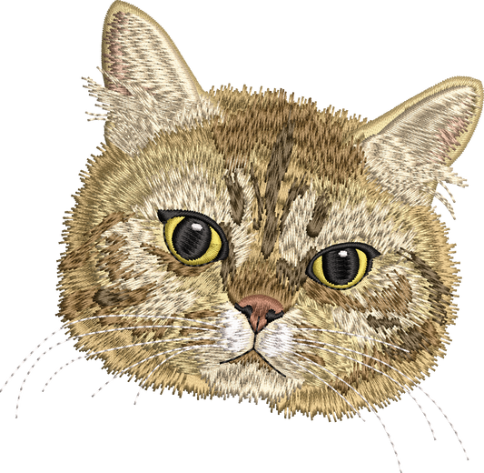 Cat Embroidery