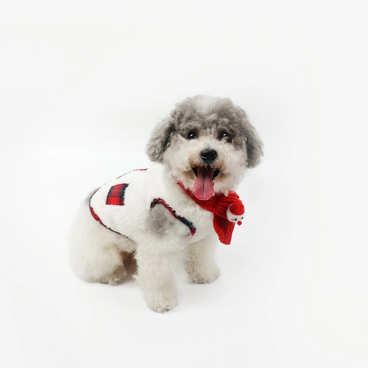 Plaid Winter Pet Coat with Knitted Scarf