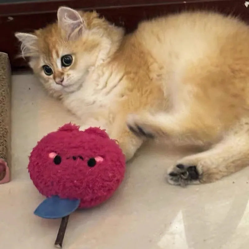 Cute Onion Silvervine Cat Chew Toy