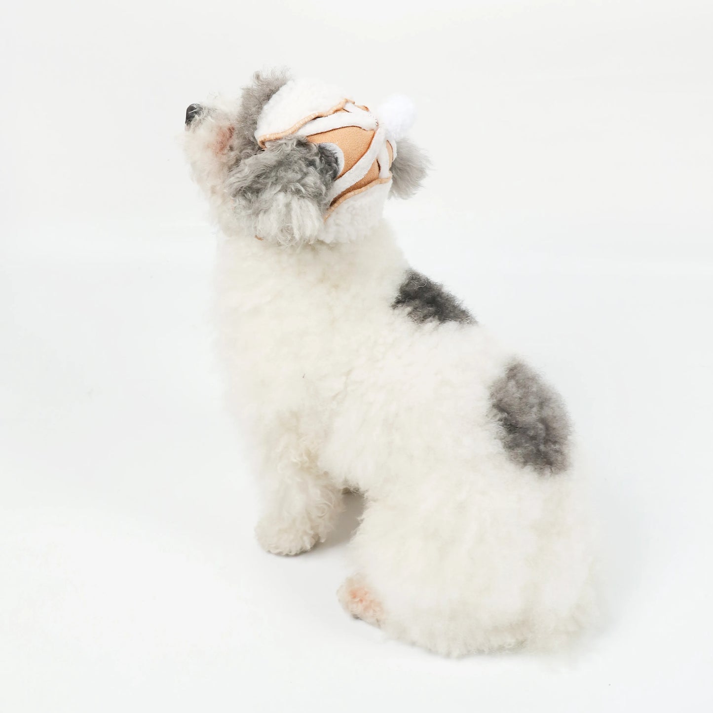 Cutie Bomber Hat Aviator Pet Hat with Pom-Pom