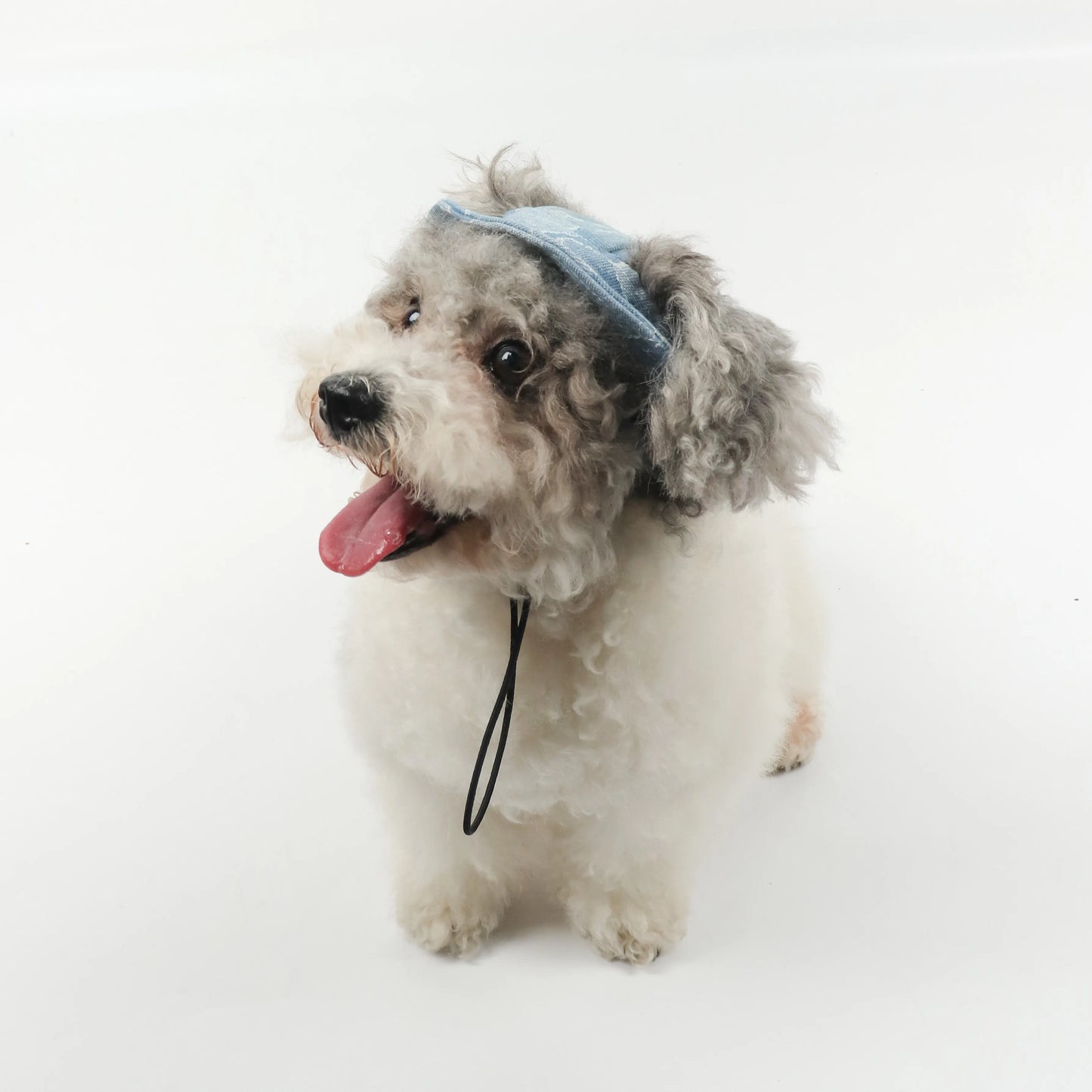 Ripped Denim Pet Bucket Hat