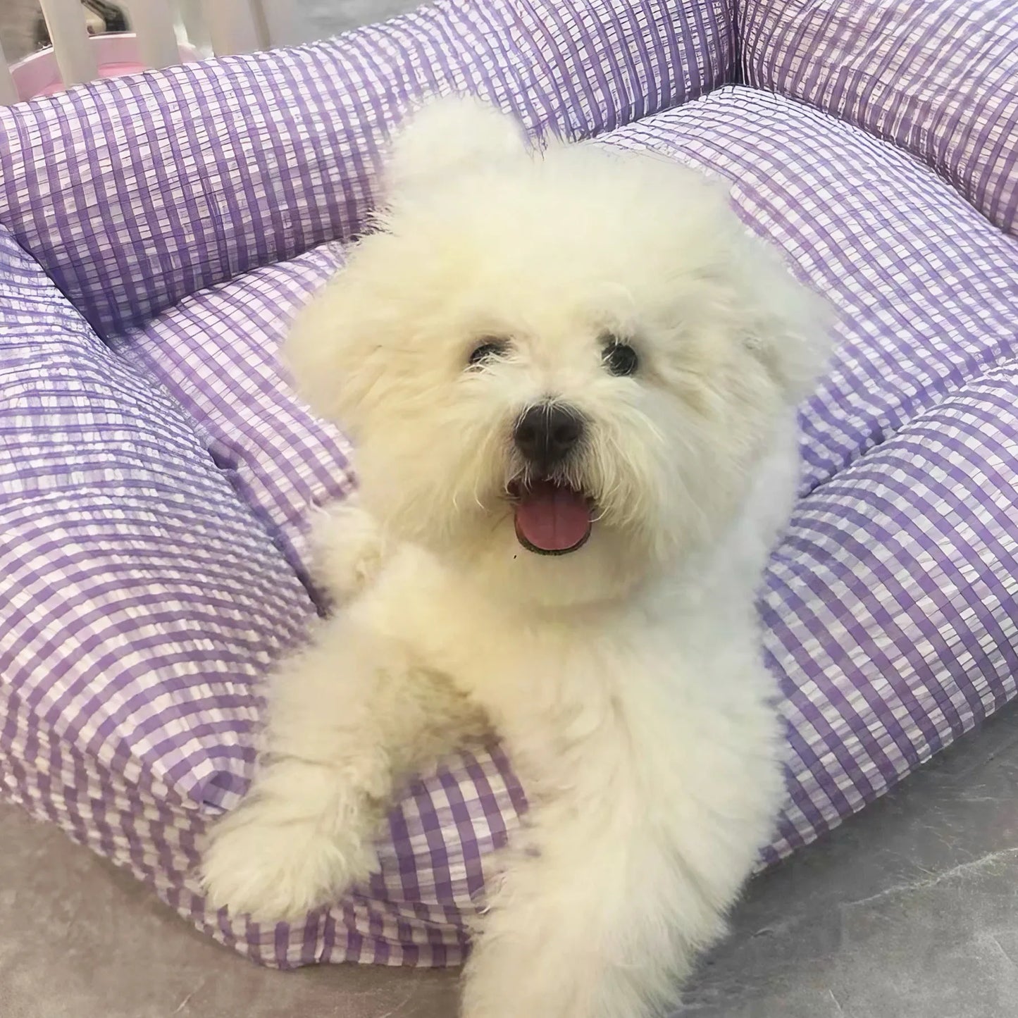 Purple Gingham Pet Bed