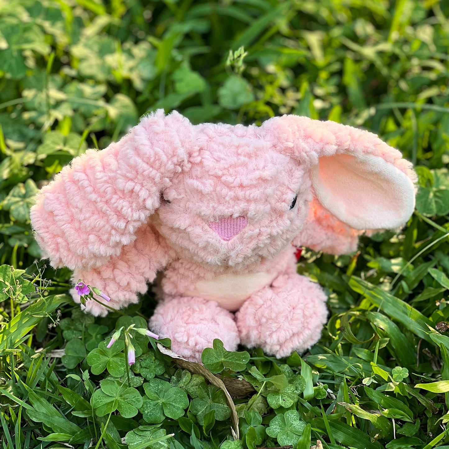 Interactive Plush Dog Toy