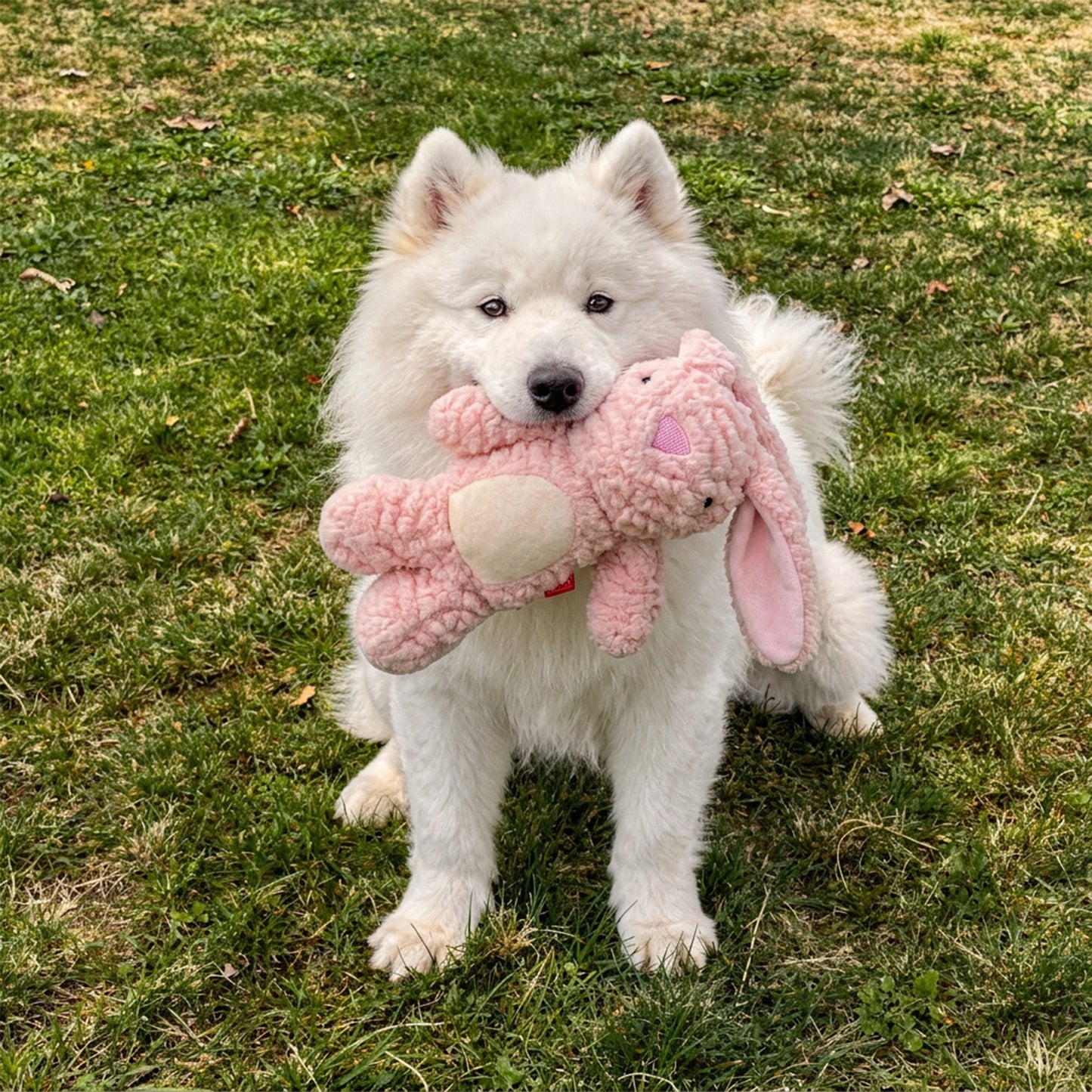 Interactive Plush Dog Toy