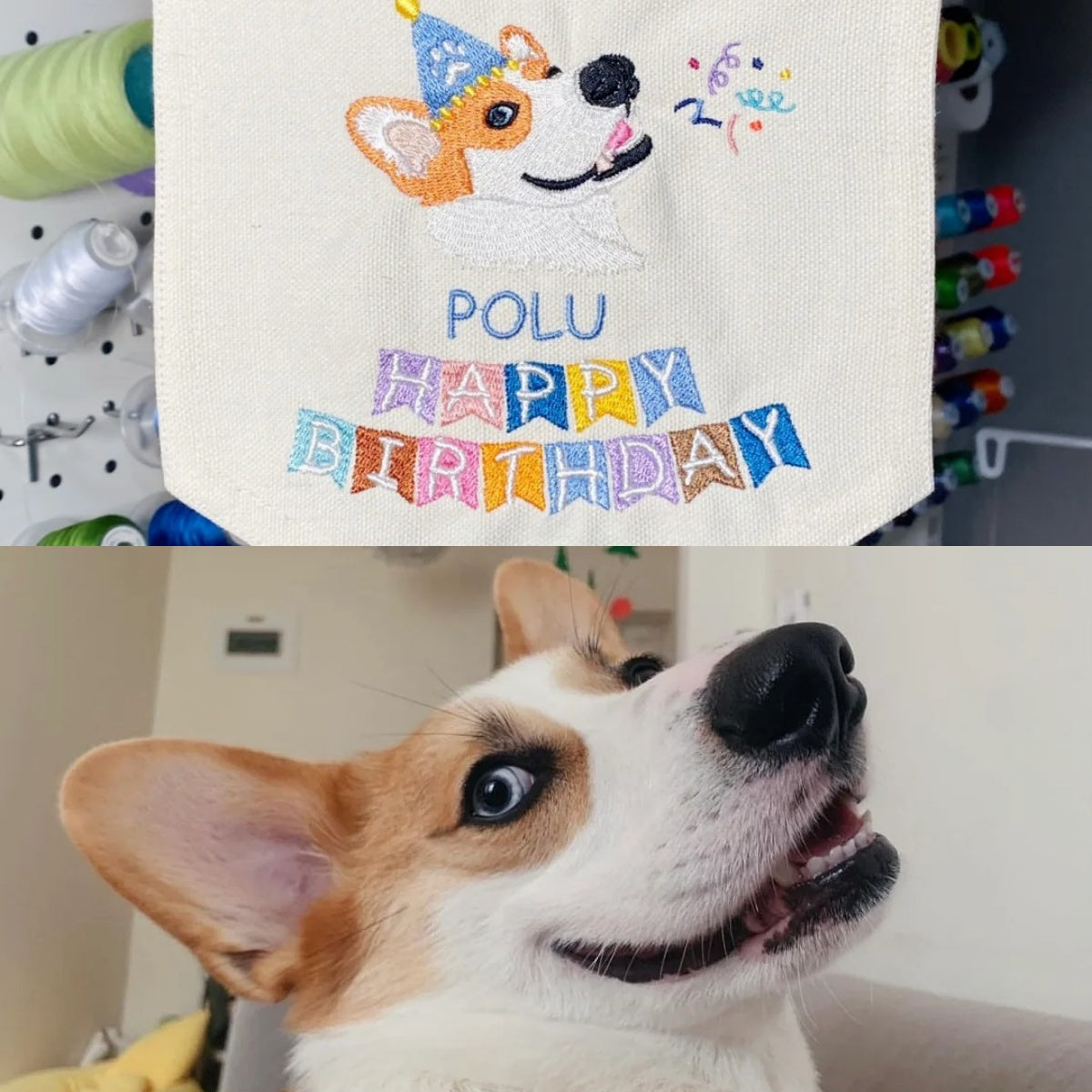 Custom Pet Embroidered Flag